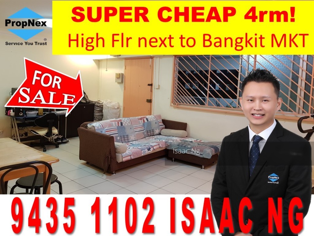 Bukit Panjang Ring Road thumbnail photo